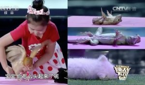Une petite chinoise de 5 ans capable d'hypnotiser littéralement des animaux