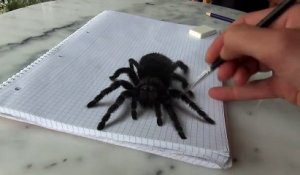 Cette araignée est horrible !