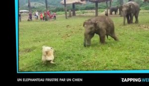 Un homme remplit le pot de gel de son ami avec de la Super Glue