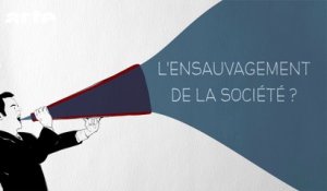 L'ensauvagement de la société - DESINTOX - 08/09/2015