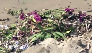 Un mémorial de fleurs érigé sur la plage où a échoué le petit Aylan