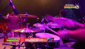 MELLOW MOOD live @ Main Stage 2015