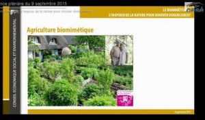 09-09-2015 : Le biomimétisme : s'inspirer de la nature pour innover durablement - cese