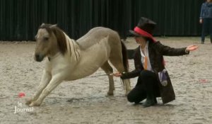 Vendée : 3e trophée des talents équestres au Haras