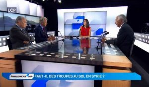 Parlement'air - Forces aériennes en Syrie : débat entre Axel Poniatowski (LR) et Philippe Baumel (PS)