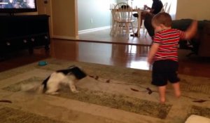 Alors! Qui c'est qui tourne le plus vite entre le chien et le bébé??!