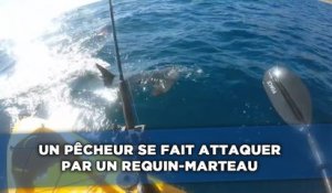 Un pêcheur se fait attaquer par un requin-marteau
