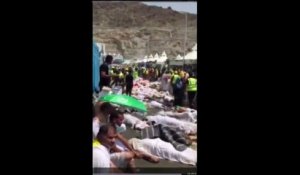 Plus de 700 morts dans une bousculade près de la Mecque