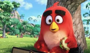 Bande-annonce : Angry Birds - VF