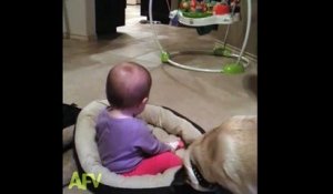 Quand bébé pique le panier du chien.. Le chien n'est pas content