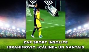 Ibrahimovic «câline» un Nantais, zap sport insolite