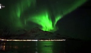 Une baleine joue sous une aurore boréale en Norvège