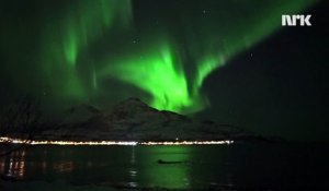 Norvège : Un groupe de baleines sous des aurores boréales