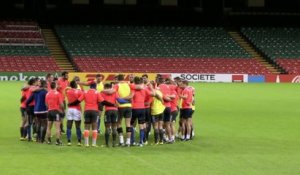 Rugby - CM : Les Bleus au révélateur irlandais