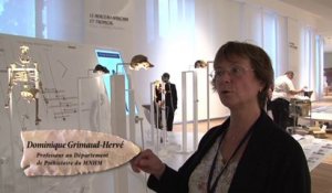 Au musée de l'homme, Dominique Grimaud-Hervé évoque l'émergence de la lignée humaine