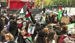 Manifestation pro-palestinienne à Paris : "La paix, on n'y croit plus", disent les organisateurs