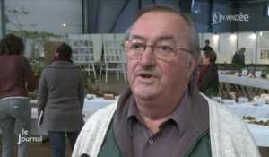 Vendée - Salon du champignon : Mycologie et toxicité