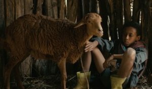 Bande-annonce : Lamb - VOST