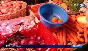 À Lyon, un panier de fruits et légumes pour 5 euros