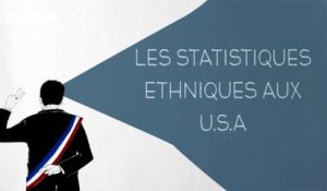 Les statistiques ethniques aux U.S.A - DESINTOX - 03/11/2015