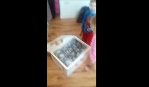 Elle commande une table sur eBay et reçoit 40 sacs pleins de poissons vivants!