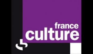 Passage média -France culture - P.Louis - Réforme du code du travail
