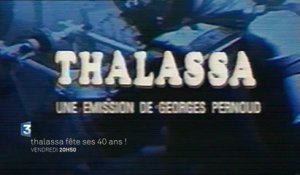 Thalassa fête ses 40 ans! - Bande-Annonce