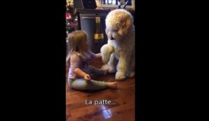 Moment magique entre une petite fille et son chien