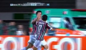 Joli but de Fred avec Fluminense !