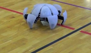 Robot adorable qui parle comme Wall-E - MorpHex + Portal Turret Voice