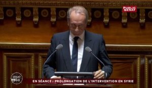 Débat sur l'intervention des forces françaises en Syrie - Sénat 360 (25/11/2015)
