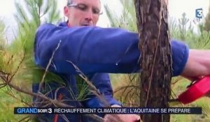 Réchauffement climatique : l'Aquitaine se prépare