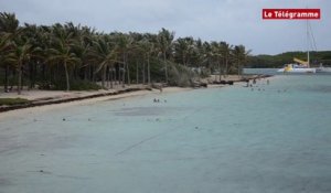COP21. Guadeloupe : l'érosion littorale,  un sérieux problème