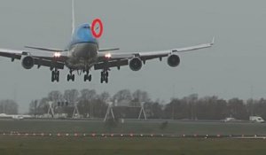 Oiseau vs Boeing 747