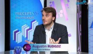 A.Rudigoz, Xerfi Canal Utiliser l'intelligence collective : le crowdsourcing pour la grande [...]