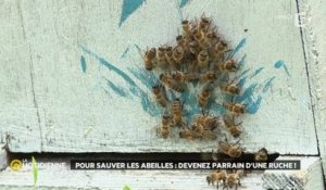 Sauver les abeilles : une urgence pour la planète