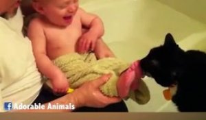 C'est l'heure du bain! Compilation d'animaux hilarants