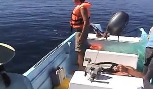 Un homme sauve une baleine piégé, celle-ci va lui montrer toute sa joie