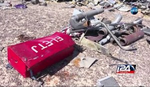 Le Caire écarte la thèse d'un attentat pour le crash de l'avion dans le Sinai