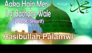HD New Naat Sharif || Aaka Hain Meri Laj Bachane Wale || Hasibullah Palamwi