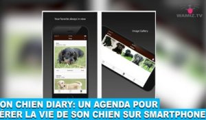 Mon chien diary: un agenda pour gérer la vie de son chien sur smartphone! À découvrir dans la minute chien #81