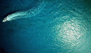 Superbes images filmées par une caméra fixée sur l'aileron d'un requin