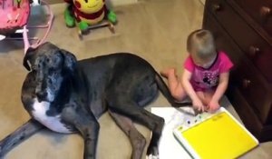 Un chien adorable permet à une petite fille d'utiliser sa queue pour peindre un dessin