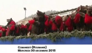 Roumanie : des habitants célèbrent la fin de l'année déguisés en ours