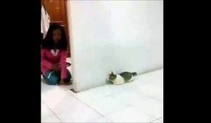 PTDR, regardez la réaction incroyable de ce chat qui prend peur !