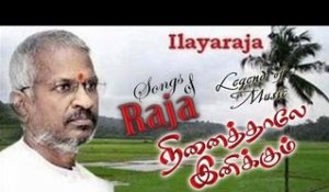 Ilayaraja hit songs HD Maamiyar veediruku