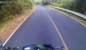 Des motards tombent sur un éléphant en pleine route en Thailande