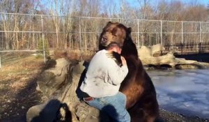 Un gros ours brun joue avec son maitre...