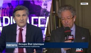 "Plus l'EI perd du terrain plus il multiplie les attaques isolées", Dominique Moïsi