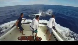 Un énorme marlin tente d'empaler un pêcheur